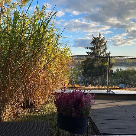 Apartament Winnica Stary Toruń Kültér fotó